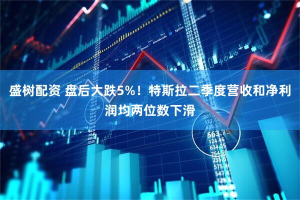 盛树配资 盘后大跌5%！特斯拉二季度营收和净利润均两位数下滑