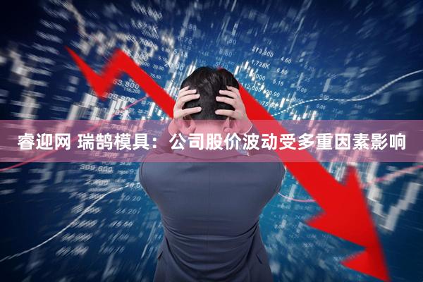 睿迎网 瑞鹄模具：公司股价波动受多重因素影响