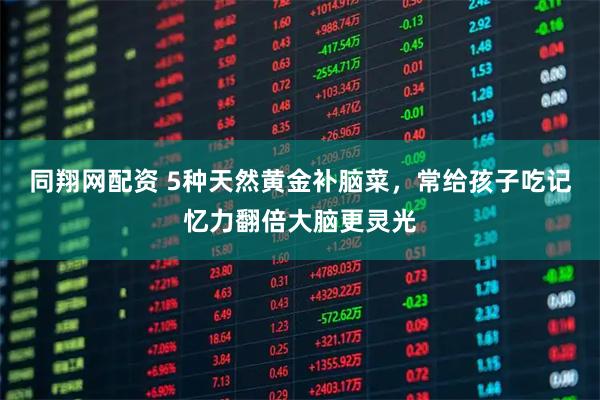 同翔网配资 5种天然黄金补脑菜，常给孩子吃记忆力翻倍大脑更灵光